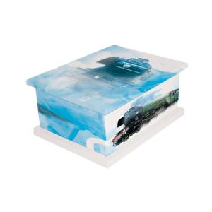 Steam Train Picture Cremation Casket 