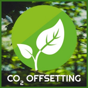 carbon offset