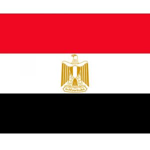 Repatriation to Egypt Cairo