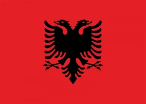 International Repatriation to the Republic of Albania
