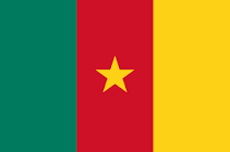 International Repatriation to Cameroon