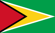 International Repatriation to Guyana