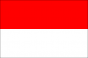 International Repatriation to Indonesia