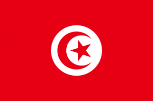 International Repatriation to Tunisia