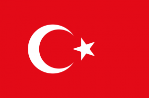 International Repatriation to Turkey