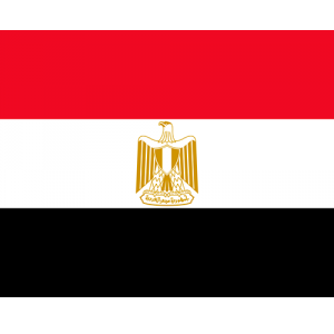 Repatriation to Egypt Cairo